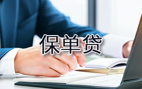 海东保单贷